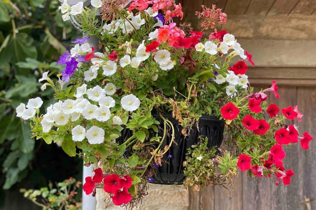 The Old Manor Coach House Daire Cirencester Dış mekan fotoğraf